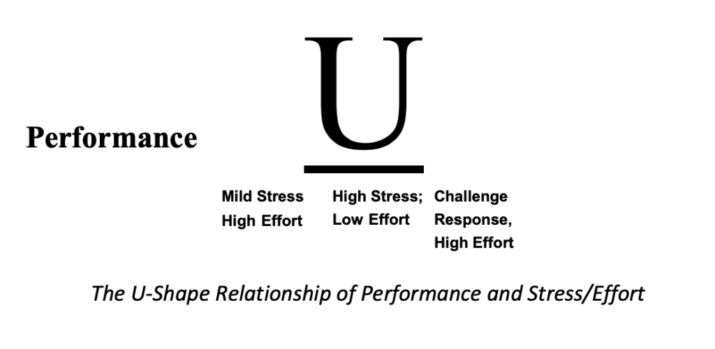 Performance and unknowns