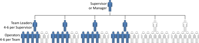 Toyota Team Structure